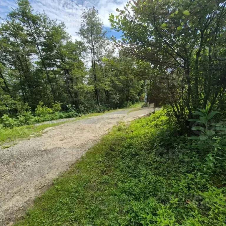 Участок в Краснодарский край, Сочи городской округ, с. Вардане-Верино ... - Фото 2