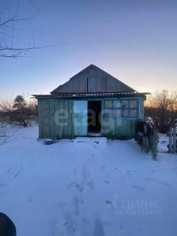 Дом в Амурская область, с. Ивановка ул. Восточная, 2 (29 м) - Фото 1