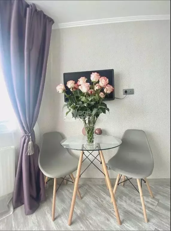 Студия Санкт-Петербург просп. Королева, 62 (25.6 м) - Фото 0