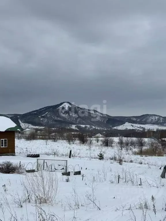 Участок в Алтайский край, Белокуриха ул. Свободы (11.6 сот.) - Фото 2
