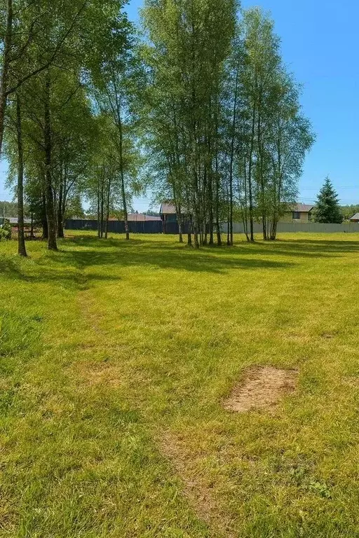 Участок в Воронежская область, Рамонский район, с. Новоживотинное  ... - Фото 2