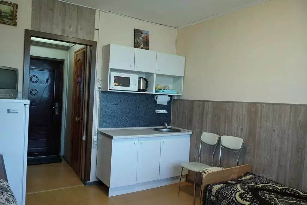 Студия Башкортостан, с. Буздяк ул. Вильмира Ахмадеева, 11 (17.0 м) - Фото 2