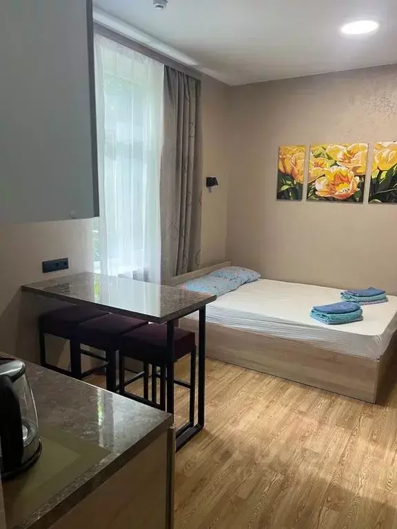 Комната Краснодарский край, Сочи Кудепста мкр, ул. Эпроновская, 2 - Фото 1