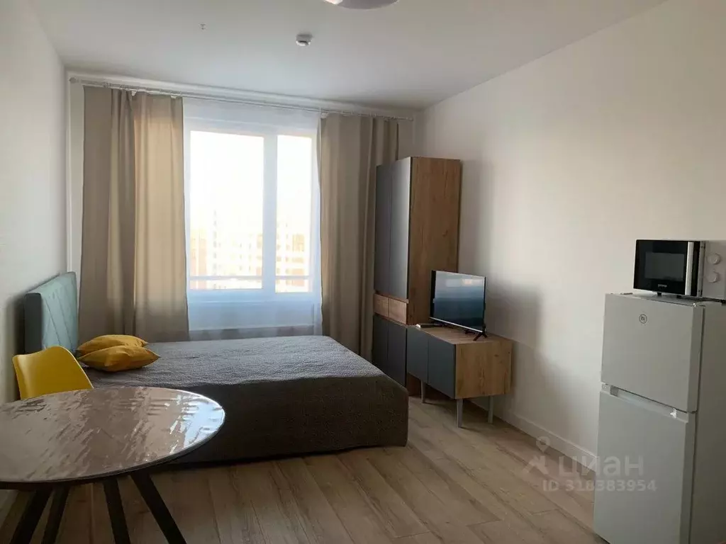 Студия Санкт-Петербург просп. Крузенштерна, 4 (23.0 м) - Фото 0