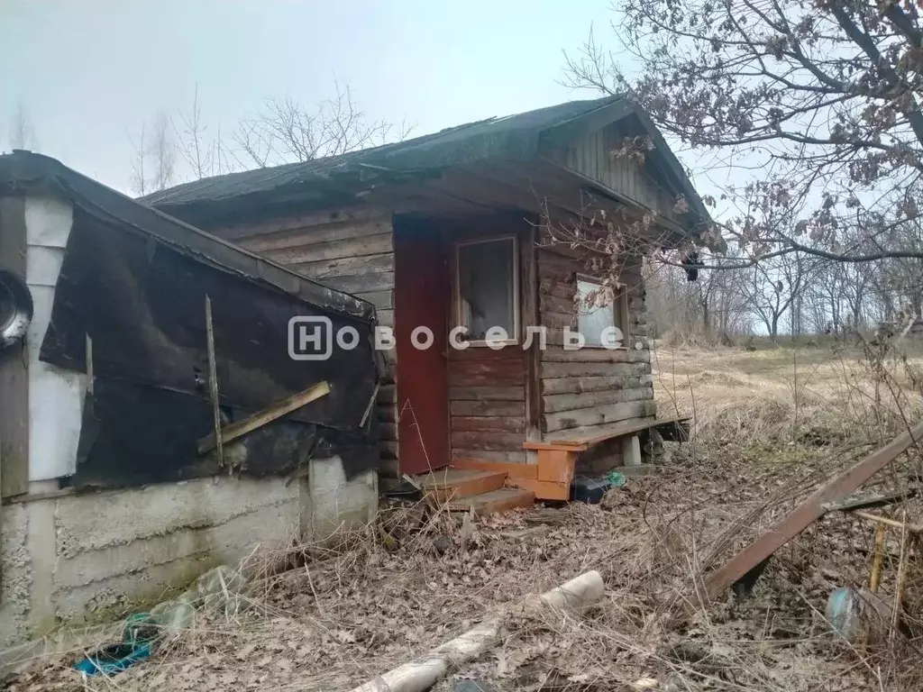 Участок в Рязанская область, Рязанский муниципальный округ, д. Ялино ... - Фото 1