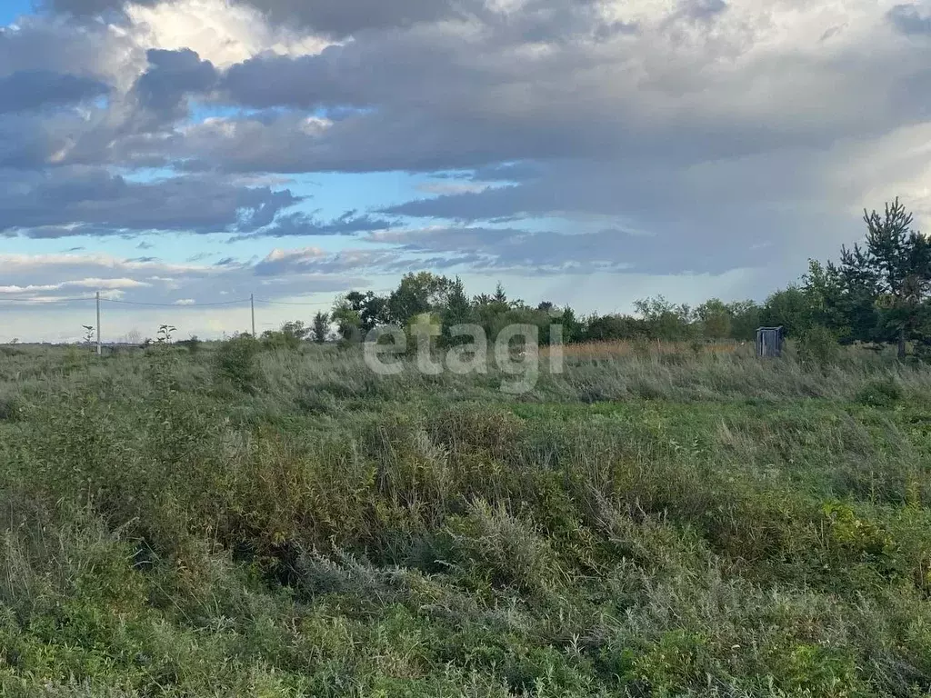 Участок в Амурская область, Благовещенский район, с. Чигири ул. ... - Фото 1