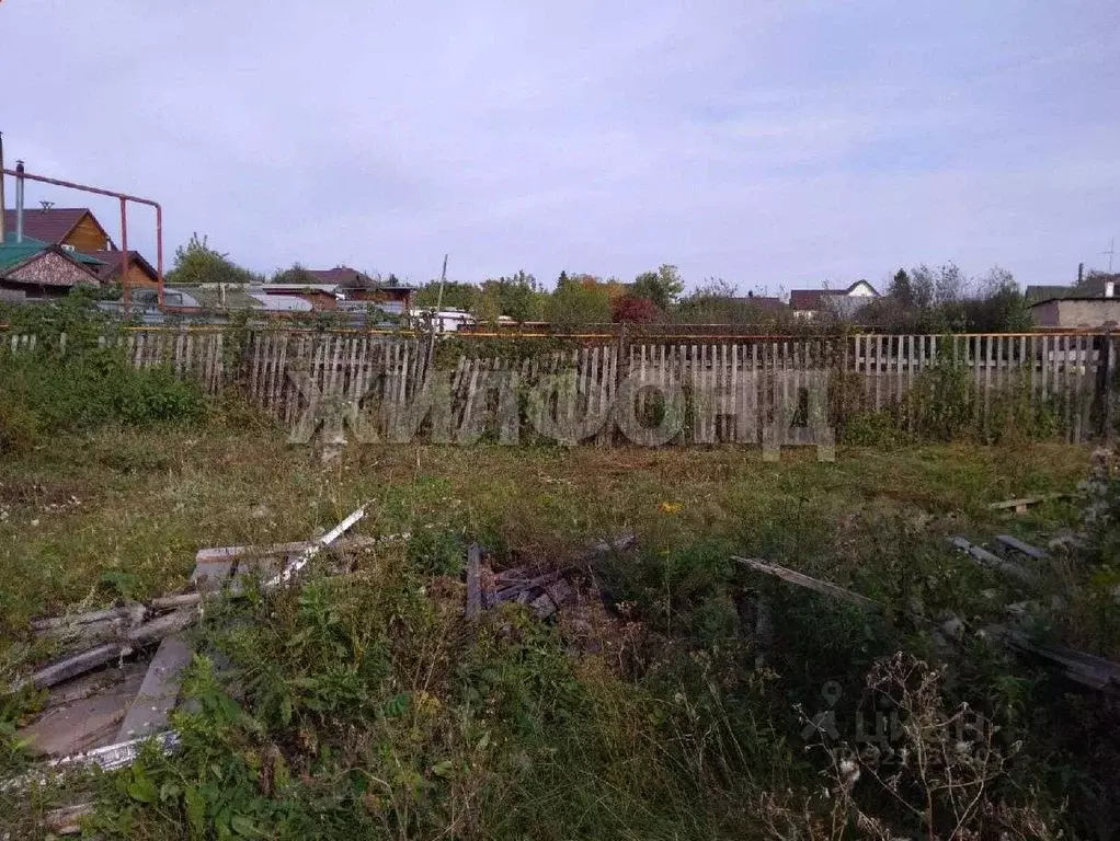 Участок в Новосибирская область, Новосибирский район, Мичуринский ... - Фото 2