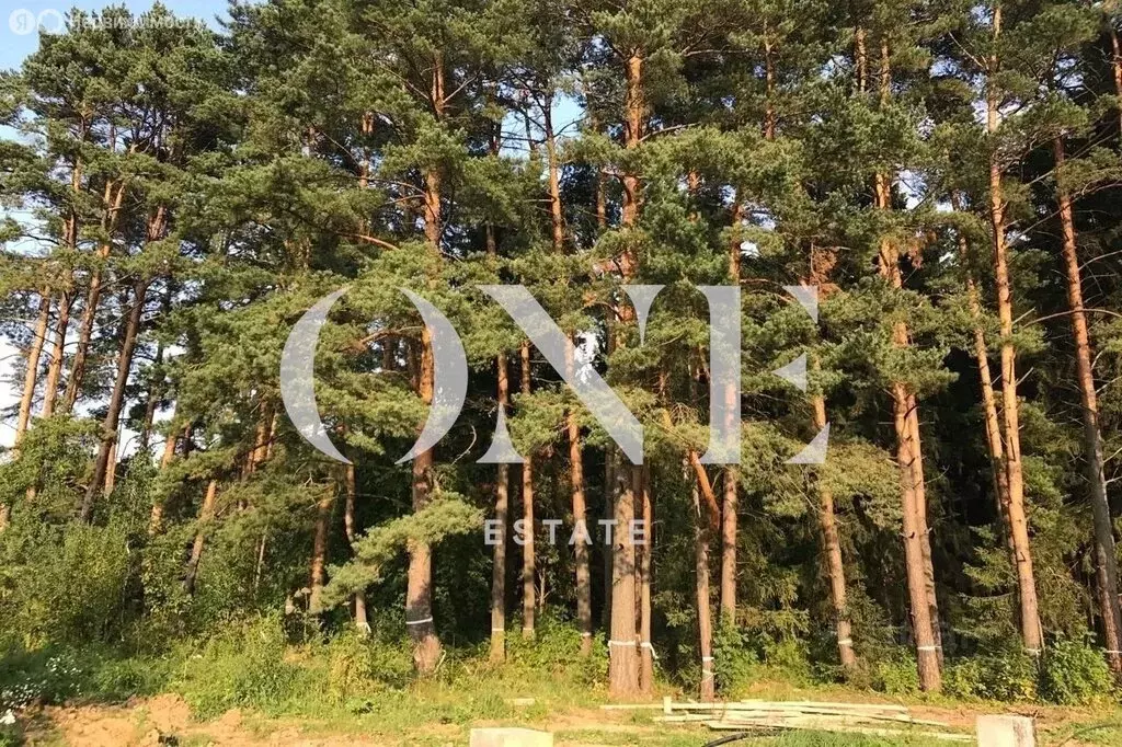 Участок в Чесноково, КП Ренессанс парк (109 м) - Фото 1