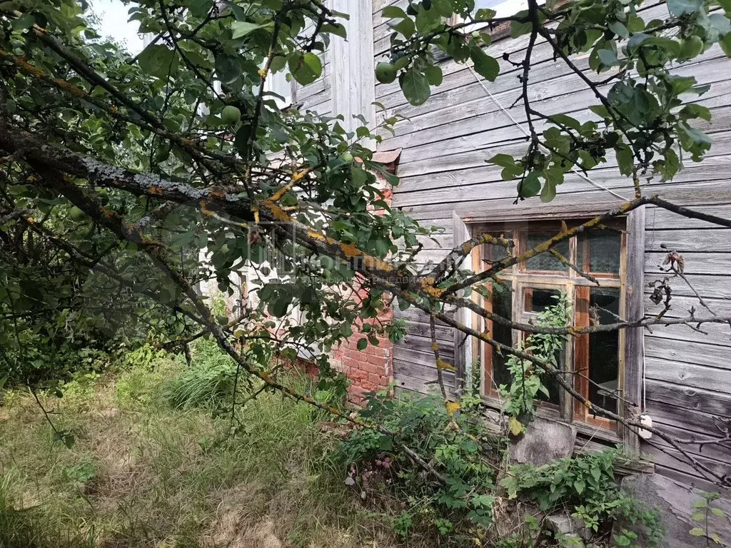 1-к. квартира, 28 м, 1/2 эт. - Фото 0