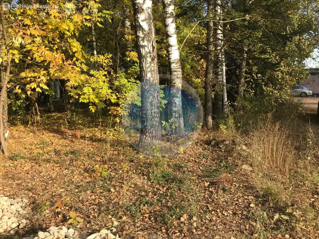 Участок в Московская область, городской округ Красногорск, рабочий ... - Фото 1