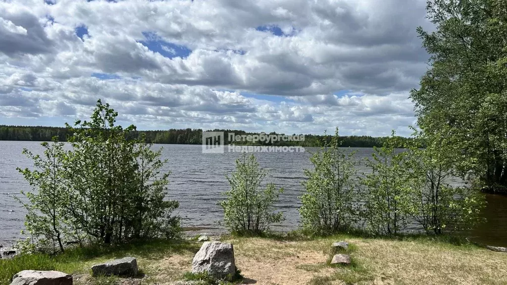 Участок в Ленинградская область, Выборгский район, Рощинское городское ... - Фото 1