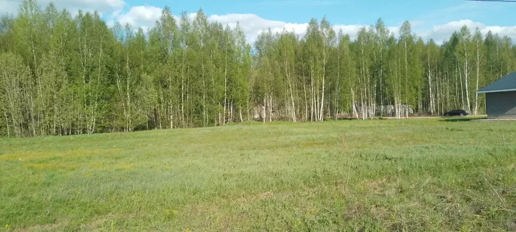 Участок в Ярославская область, Переславль-Залесский городской округ, ... - Фото 0