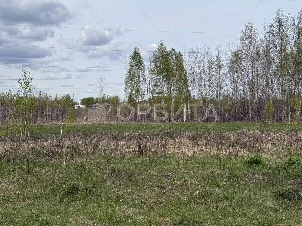 Участок в Тюменская область, Тюменский муниципальный округ, с. Борки ... - Фото 2