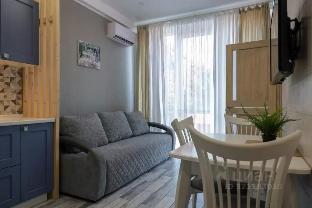 1-к кв. Краснодарский край, Сочи ул. Ленина, 219/8к4 (35.0 м) - Фото 2