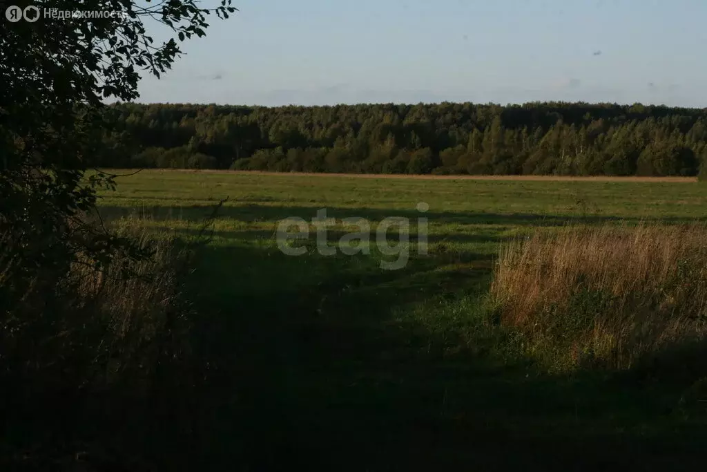 Участок в Сергиево-Посадский городской округ, деревня Филипповское ... - Фото 1