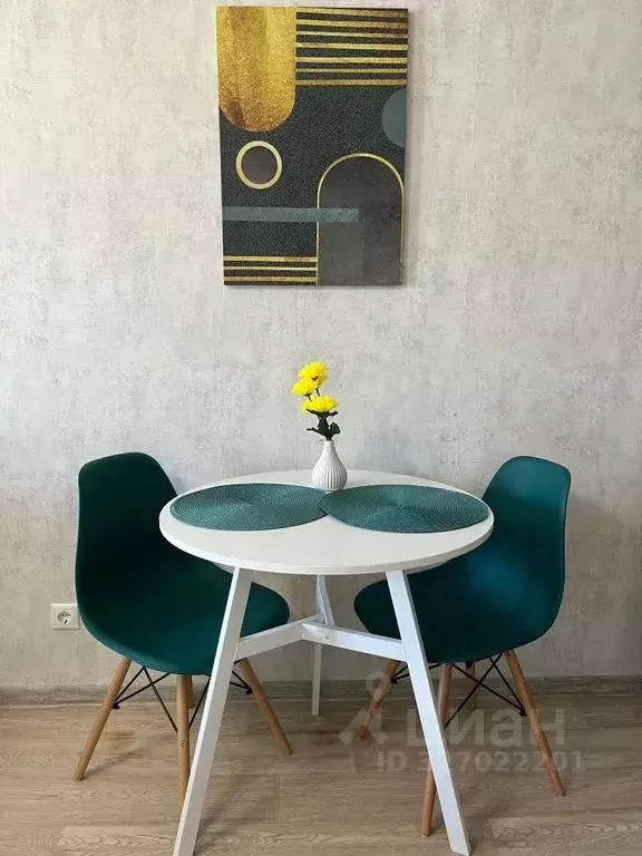 Студия Московская область, Ногинск Богородский городской округ, ул. ... - Фото 2