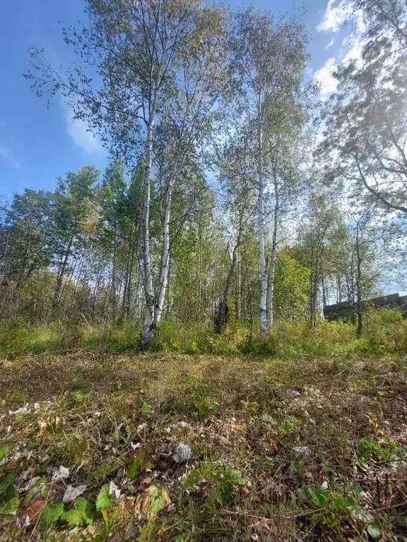 Участок в Иркутская область, Байкальск г. Слюдянский район, ... - Фото 1