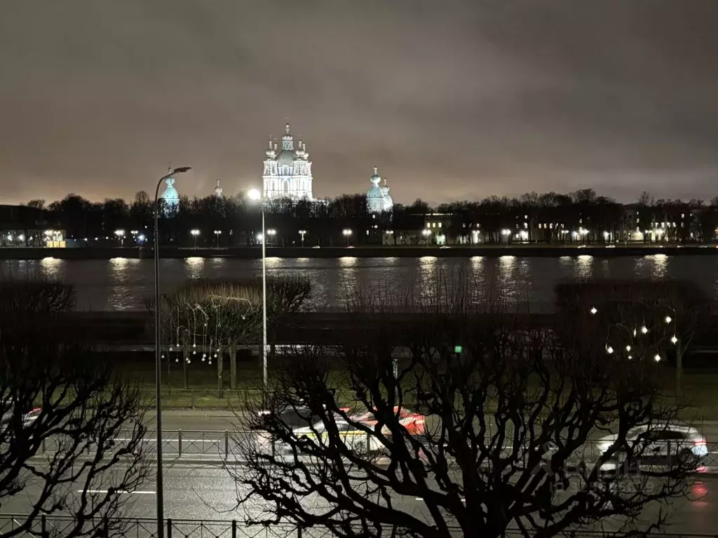 1-к кв. Санкт-Петербург Свердловская наб., 64 (30.0 м) - Фото 2