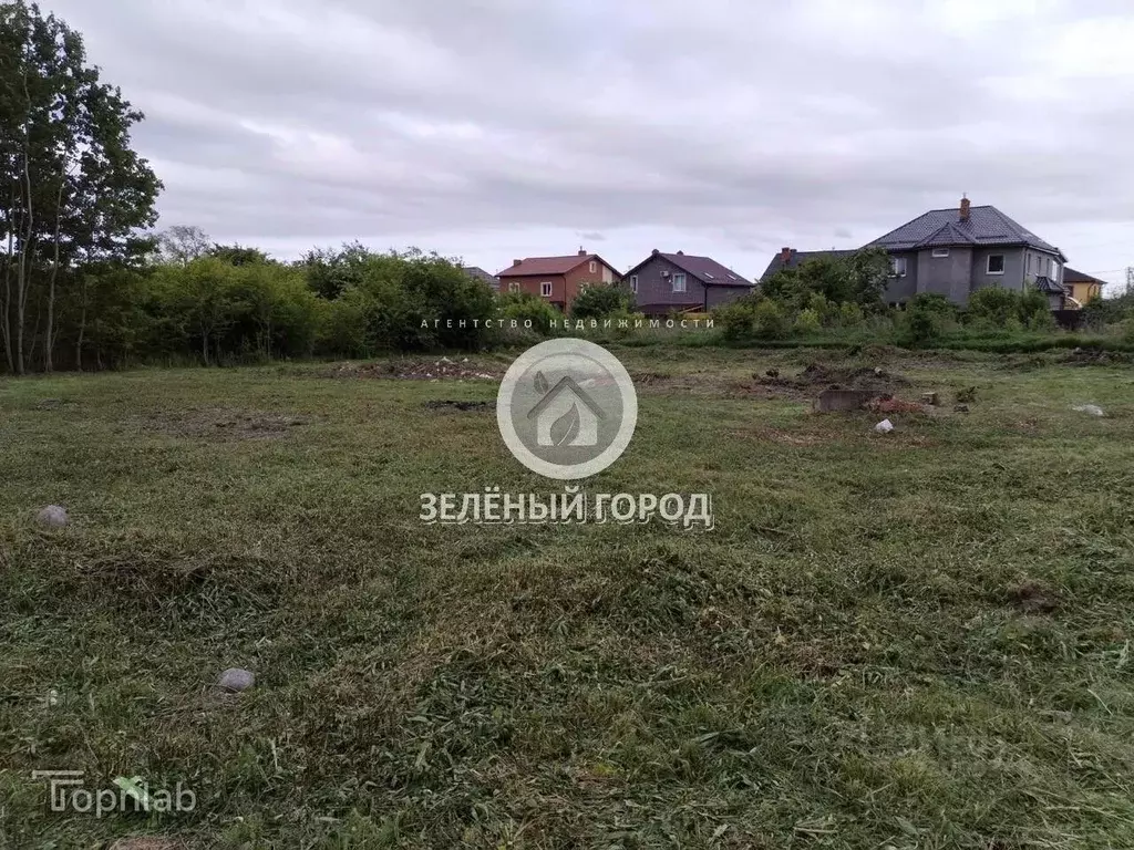 Участок в Калининградская область, Гурьевский муниципальный округ, ... - Фото 2