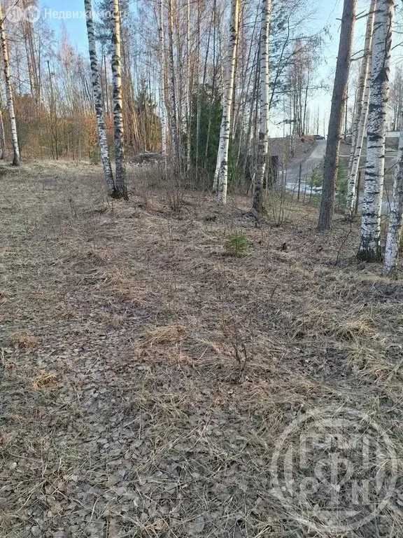 Участок в деревня Порошкино, коттеджный посёлок Юкки-каньон (30 м) - Фото 1