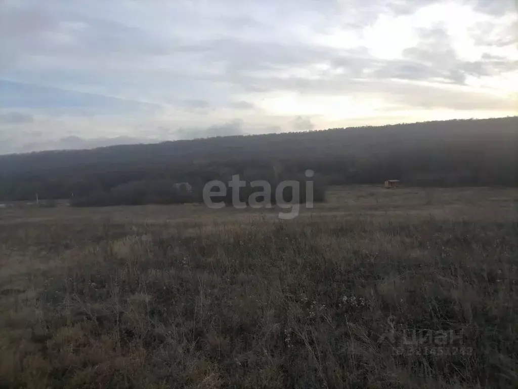 Участок в Саратовская область, Базарно-Карабулакский район, ... - Фото 0