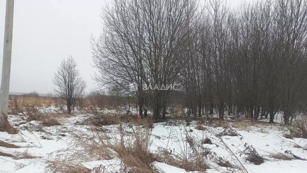 Участок в Владимирская область, Суздальский район, Боголюбовское ... - Фото 1