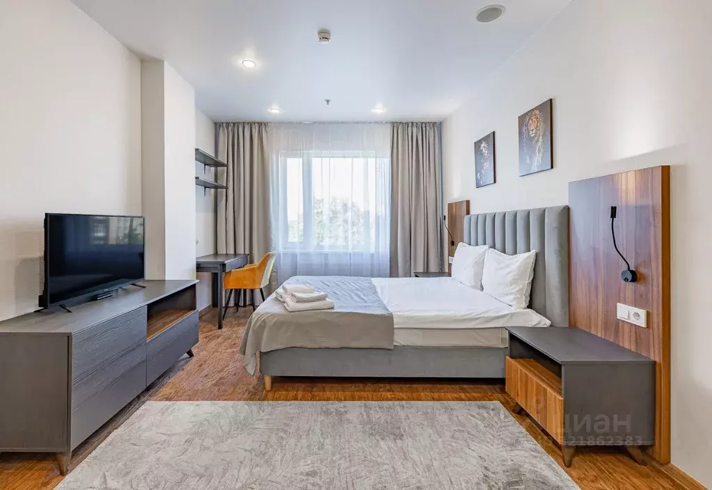 Студия Санкт-Петербург 2-й Муринский просп., 36 (29.0 м) - Фото 2