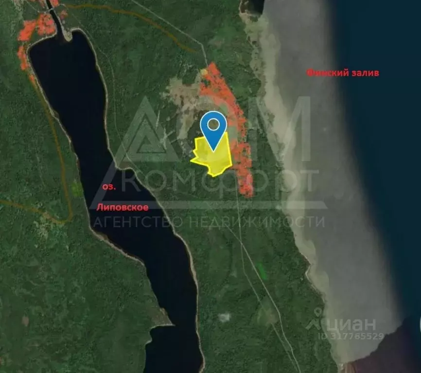 Участок в Ленинградская область, Кингисеппский район, Усть-Лужское ... - Фото 2