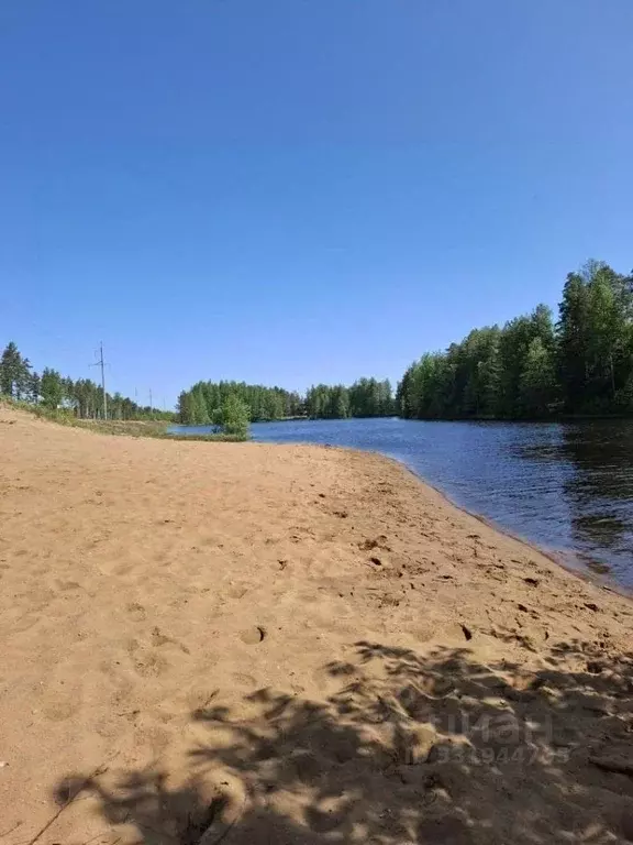Участок в Ленинградская область, Сосновый Бор Бастион СНТ, ул. ... - Фото 1
