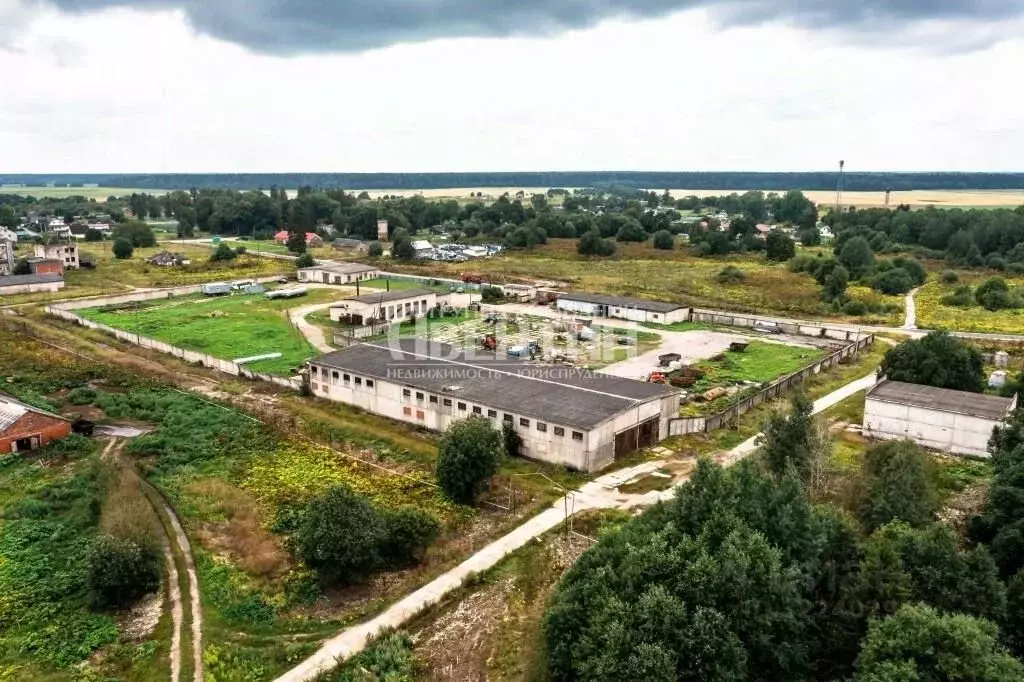 Склад в Ленинградская область, Волосовский район, Клопицкое с/пос, ... - Фото 1