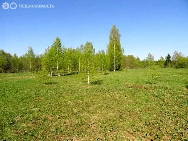 Участок в Ярославская область, Угличский муниципальный округ, село ... - Фото 2