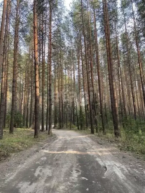 Дом в Свердловская область, Невьянский городской округ, Заря СТ  (35 ... - Фото 0