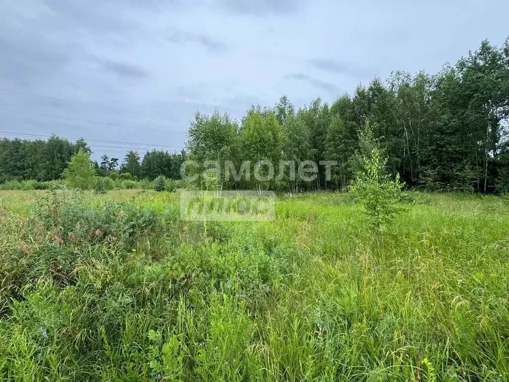 Участок в Московская область, Богородский городской округ, Новое ... - Фото 2
