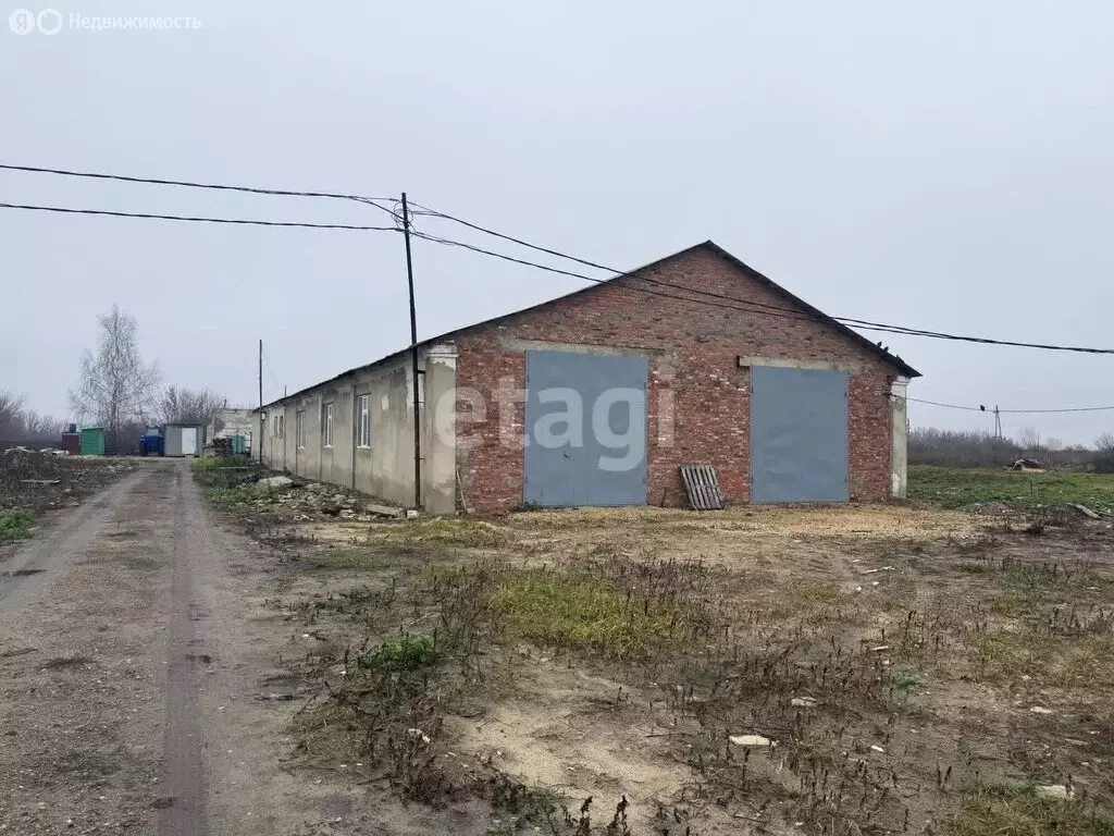 Помещение свободного назначения (683.9 м) - Фото 1