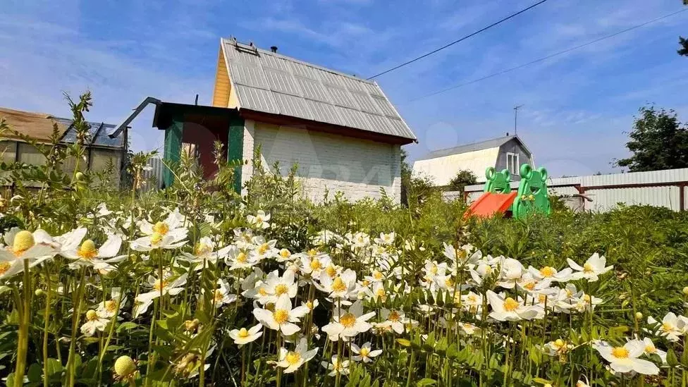 Дача 25 м на участке 5 сот. - Фото 0
