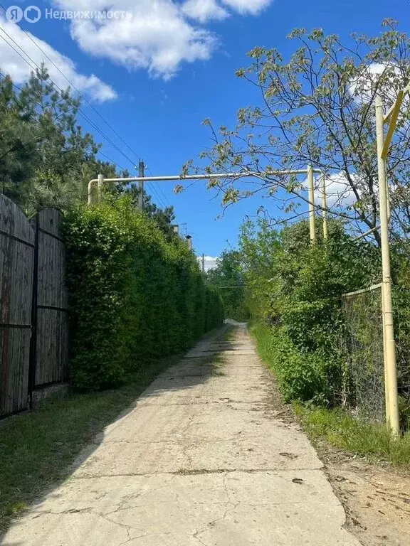 Участок в Таганрог, ДНТ Мир, 1-я аллея, 42 (6 м) - Фото 1