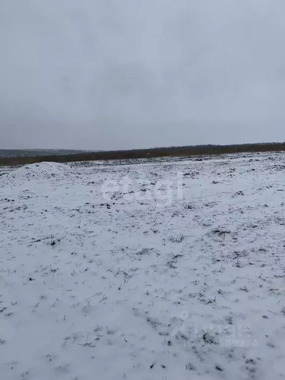 Участок в Белгородская область, Белгородский район, Головинское с/пос, ... - Фото 0