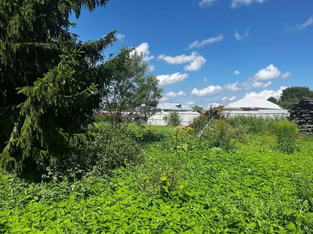 Дом в Калужская область, Бабынинский район, Утешево с/пос, с. Утешево ... - Фото 2