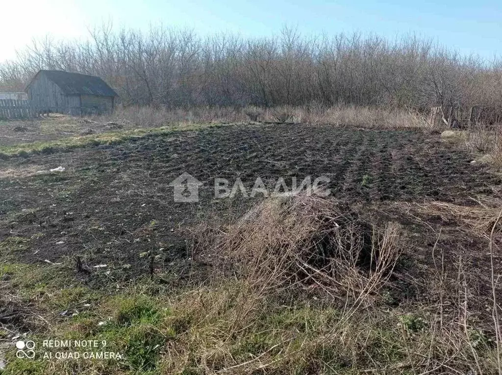 Участок в Пензенская область, Городищенский район, с. Русский Ишим ул. ... - Фото 0