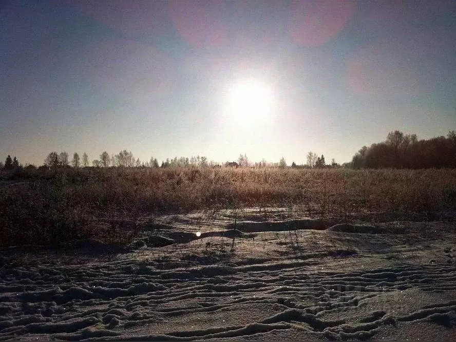 Участок в Московская область, Истра муниципальный округ, пос. Станции ... - Фото 2