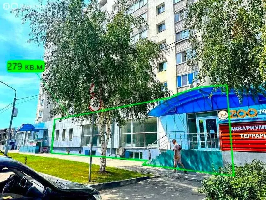Помещение свободного назначения (279 м) - Фото 1