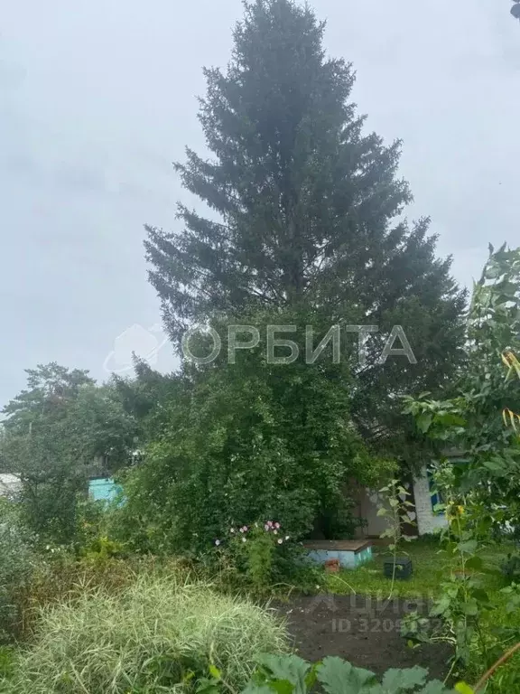 Дом в Тюменская область, Тюмень Здоровье садовое товарищество, ул. ... - Фото 0