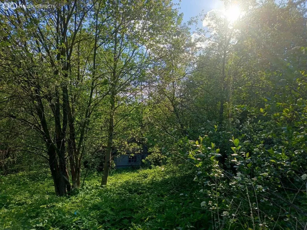 Участок в Владимир, СНТ Содышка, 2 (4.31 м) - Фото 1