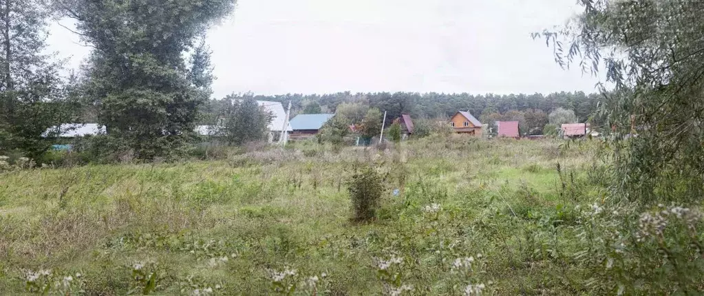 Участок в Новосибирская область, Новосибирский район, Кудряшовский ... - Фото 1