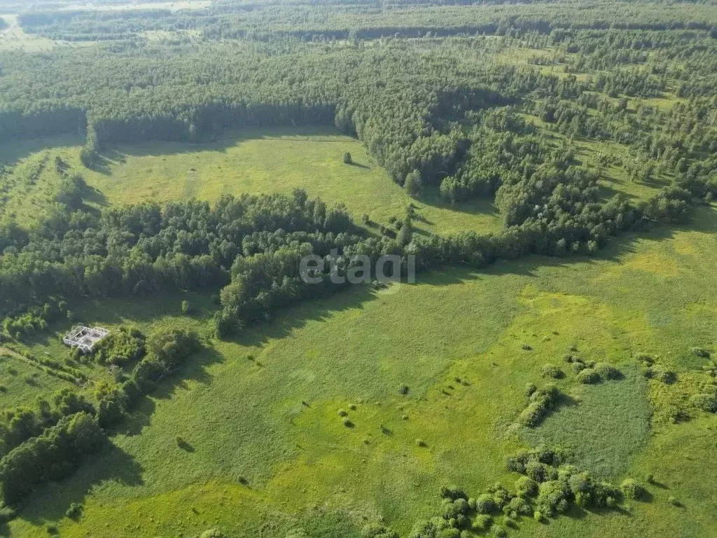 Участок в Нижегородская область, Дальнеконстантиновский муниципальный ... - Фото 1