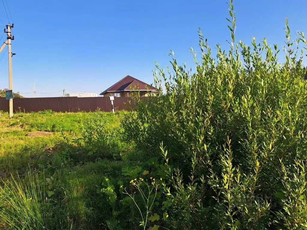 Участок в Московская область, Пушкинский городской округ, д. Луговая  ... - Фото 1
