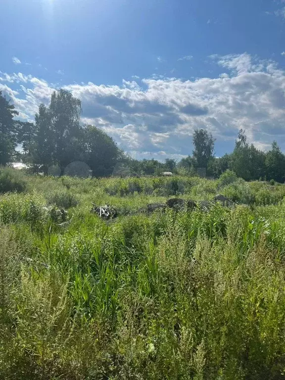 Участок 11 сот. (ИЖС) - Фото 0