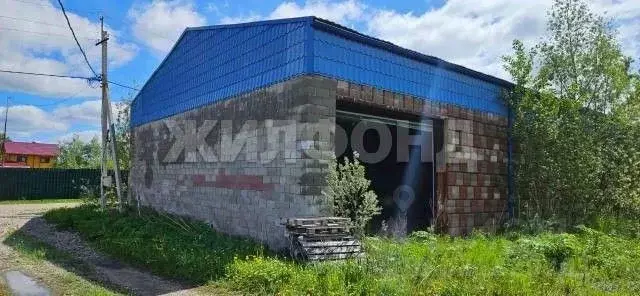 Участок в Новосибирская область, Колыванский район, Север ТСН  (10.0 ... - Фото 1