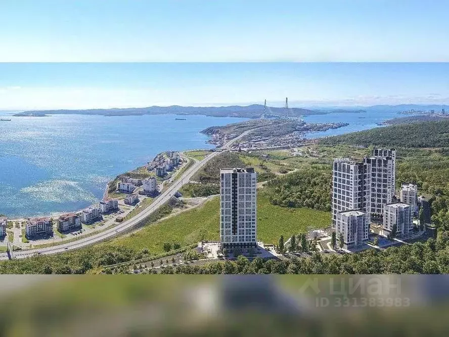 Помещение свободного назначения в Приморский край, Владивосток ул. ... - Фото 1