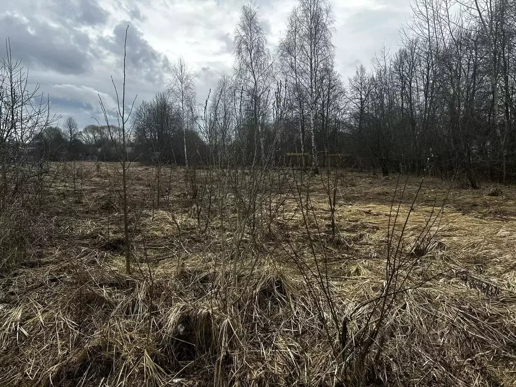 Участок в Московская область, Ступино городской округ, д. Старокурово  ... - Фото 1